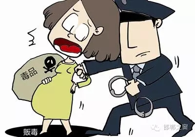 2016年初，涉縣警方查獲一起涉毒案件，鑒于該案涉案人員多、毒品交易量大，涉縣警方立即將案情上報(bào)，被公安部確立為“目標(biāo)-2016-314”號毒品案件。涉縣警方成立專案組，經(jīng)過多方追查，先后抓獲團(tuán)伙人員13名，繳獲毒品5349克，并查明上線“濮姐”的真實(shí)身份為陳某。